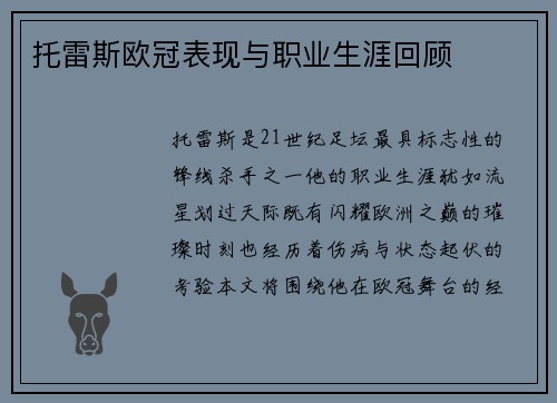 托雷斯欧冠表现与职业生涯回顾