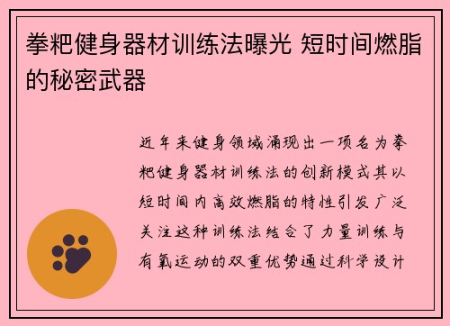 拳粑健身器材训练法曝光 短时间燃脂的秘密武器