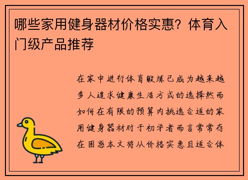 哪些家用健身器材价格实惠？体育入门级产品推荐